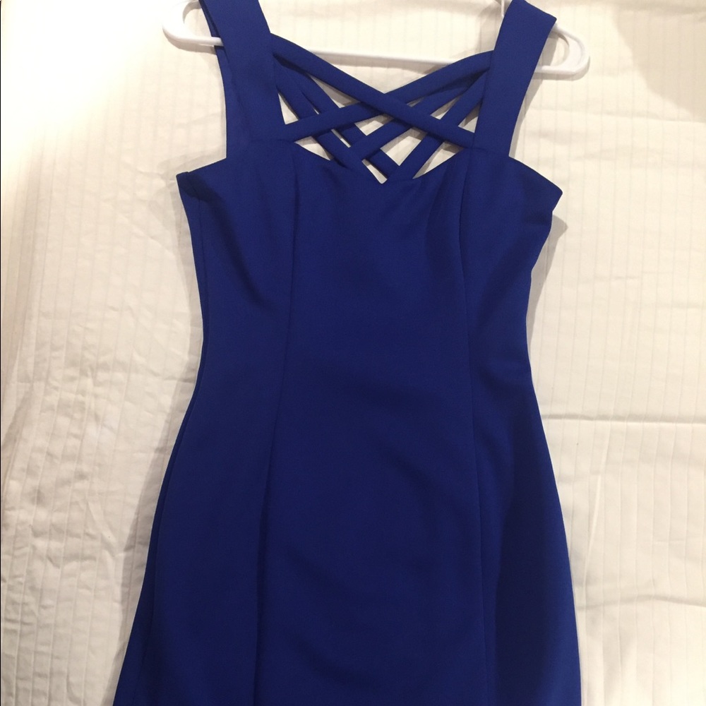 Guess dress form fitted